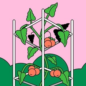 Meet your Posher, Gracie